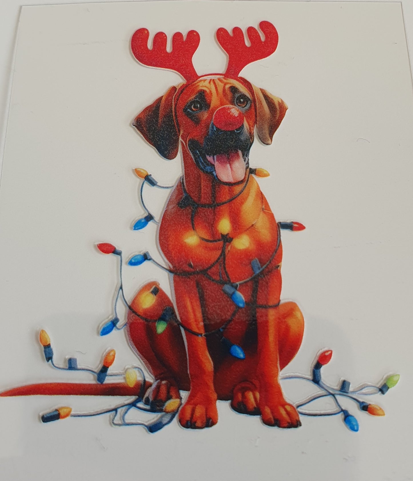 Red Nose Christmas Dog UV DTF Decal 6cm