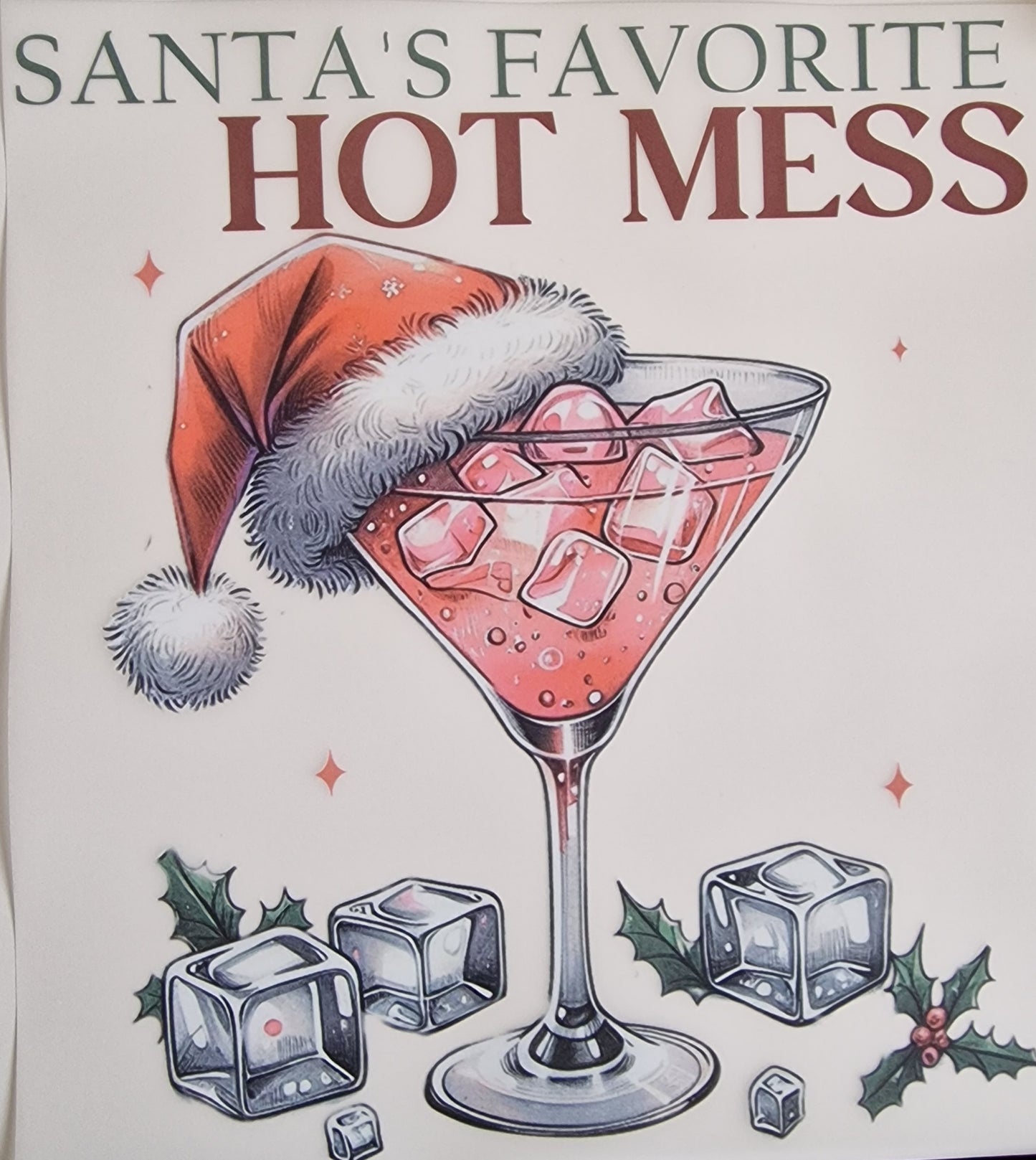 Santa's favourite 25cm DTF print