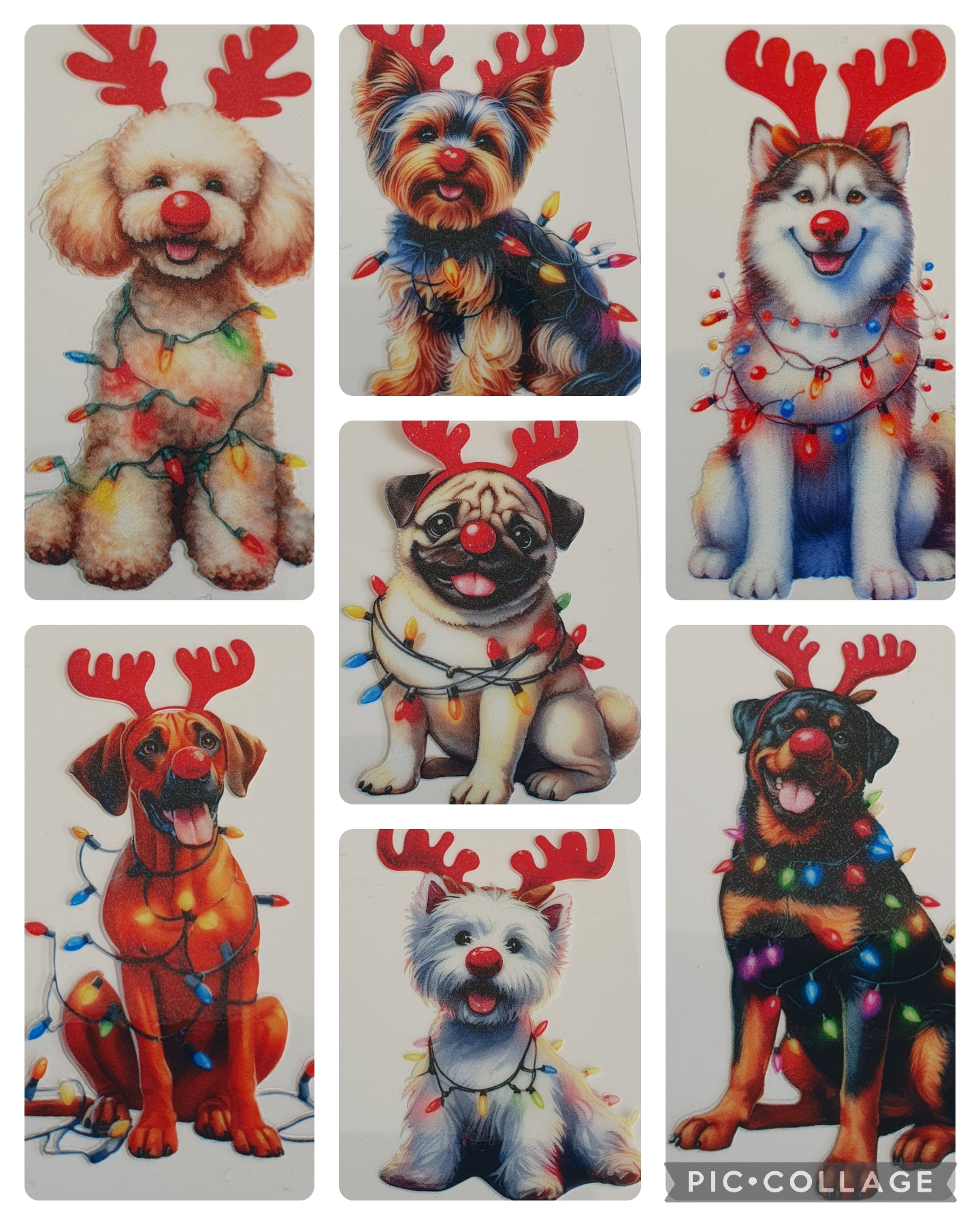 Red Nose Christmas Dog UV DTF Decal 6cm